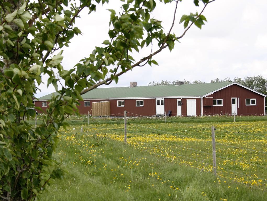 Kaldbakur Guesthouse Heimaland Kültér fotó