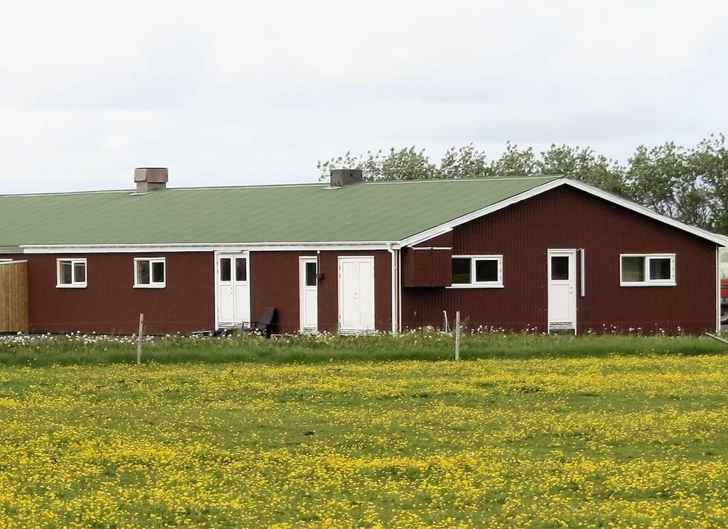 Kaldbakur Guesthouse Heimaland Kültér fotó